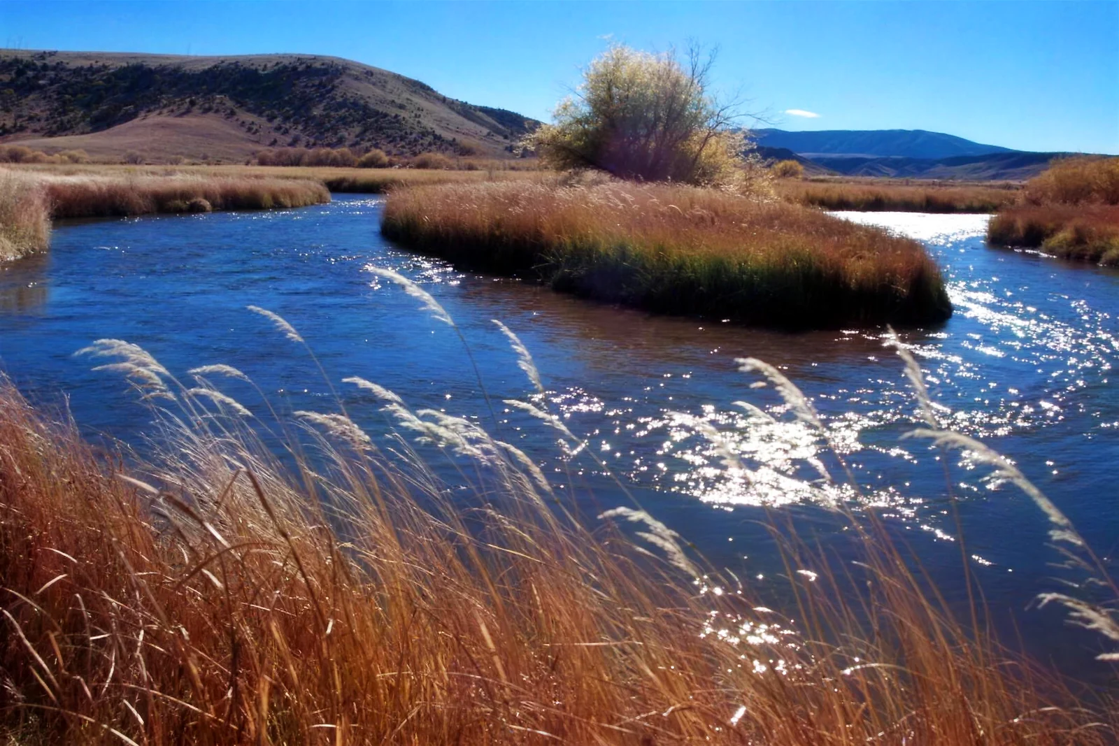Saguache Creek – Middle