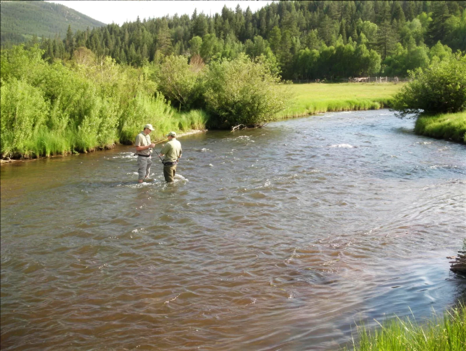 Tarryall Creek – Lazy River Ranch
