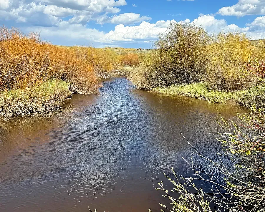 Little Grizzly Creek – Monk Ranch