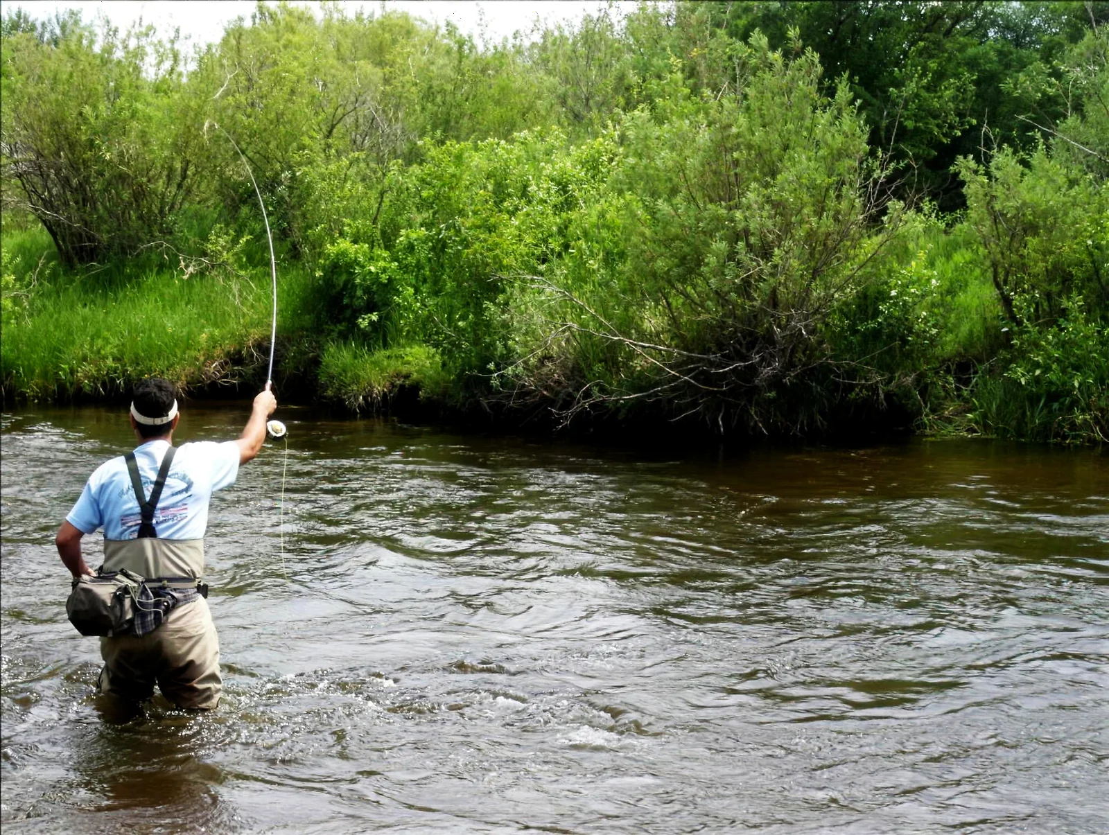Lower Michigan River