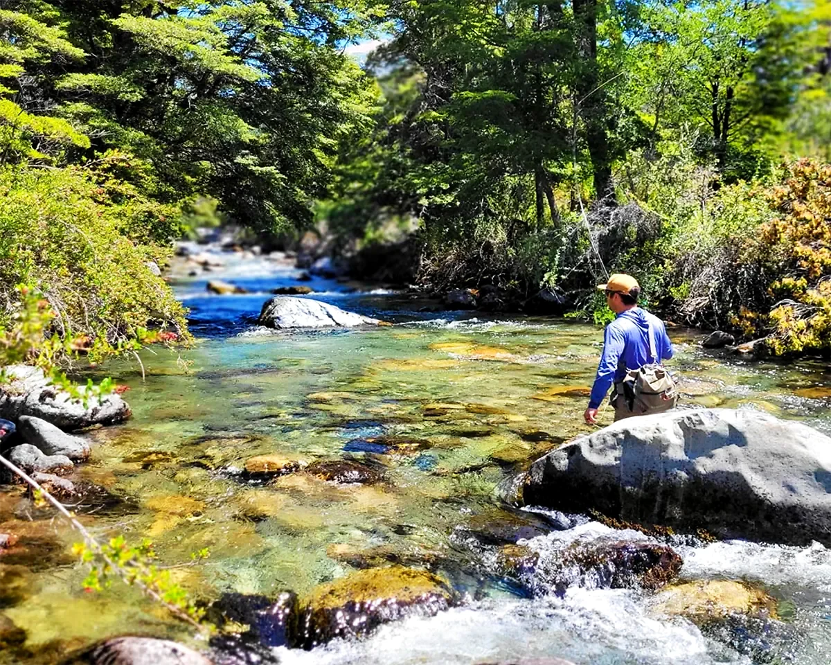 Patagonia