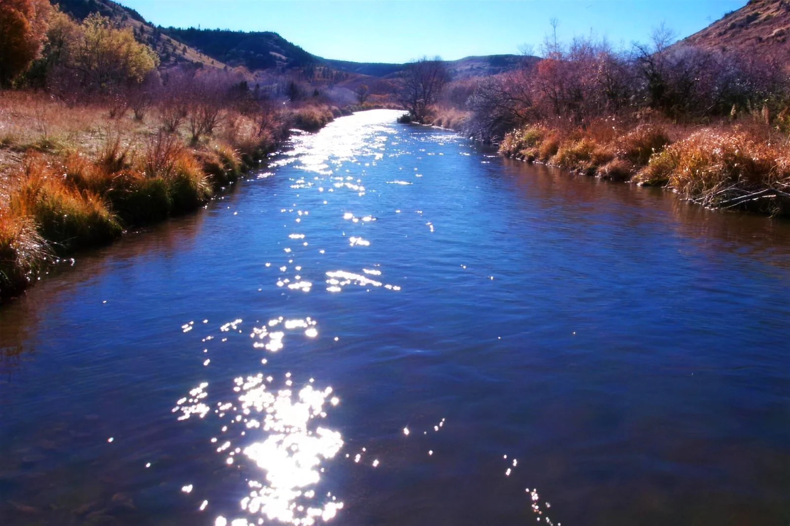 Saguache Creek – Lower