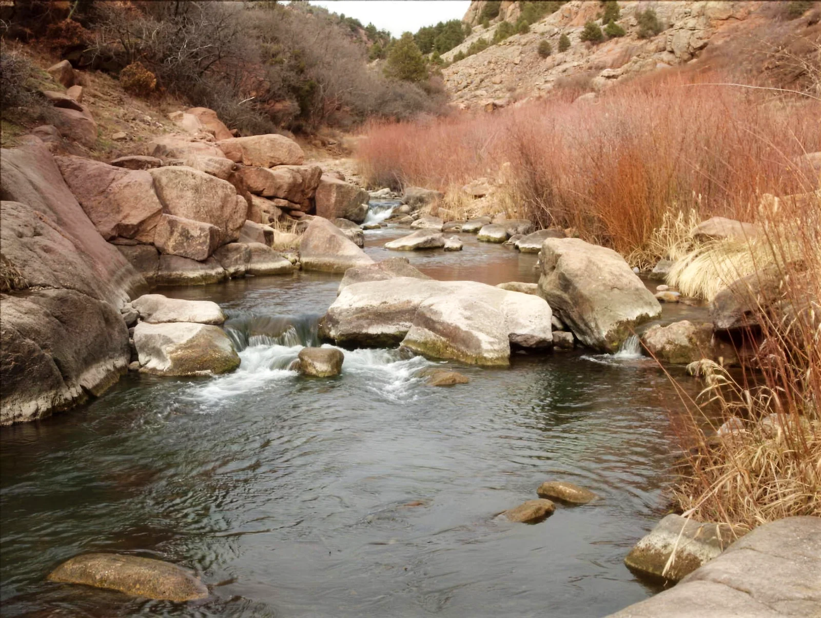 Fourmile Creek – Cripple Creek