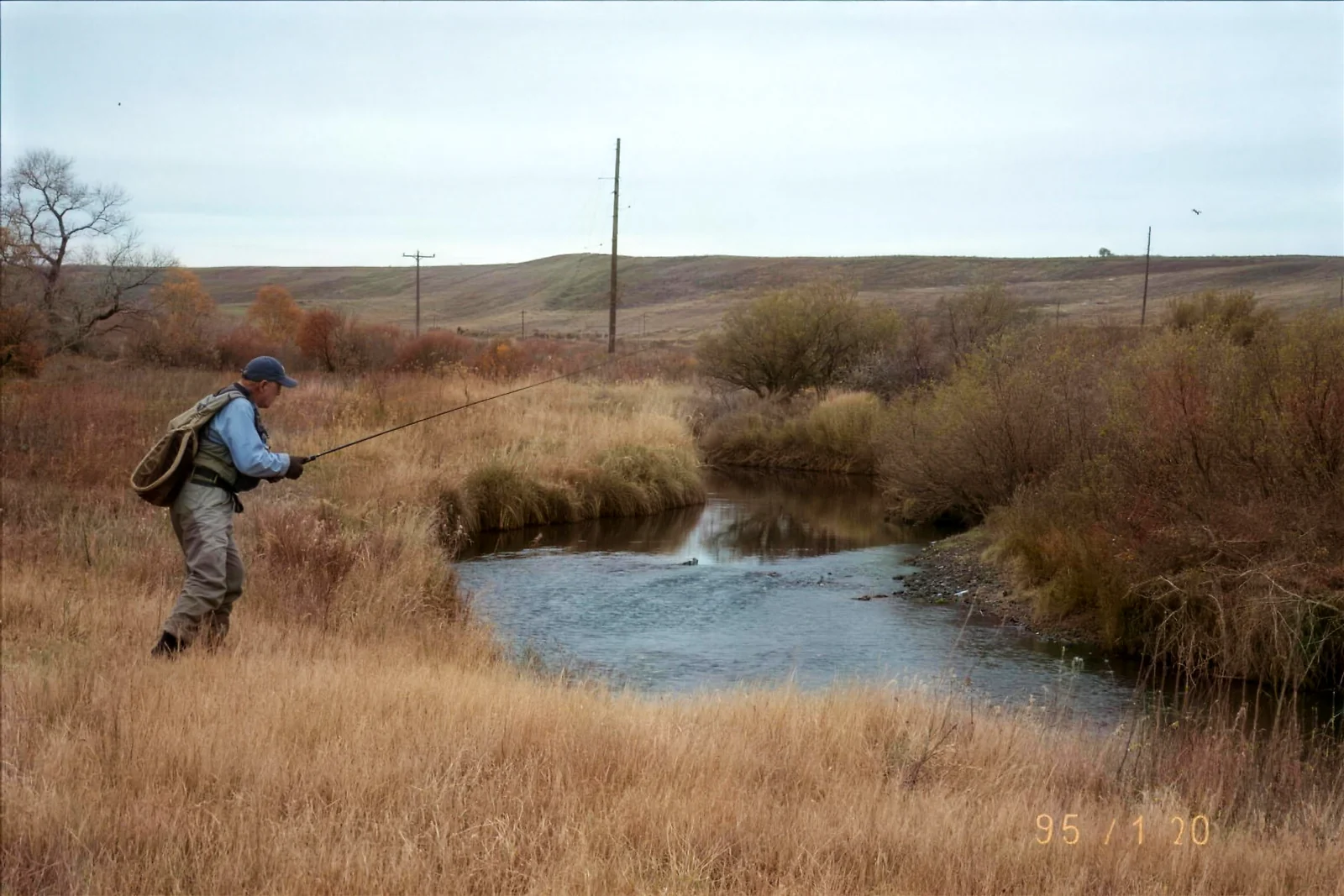 Little Laramie River and Brown's Creek