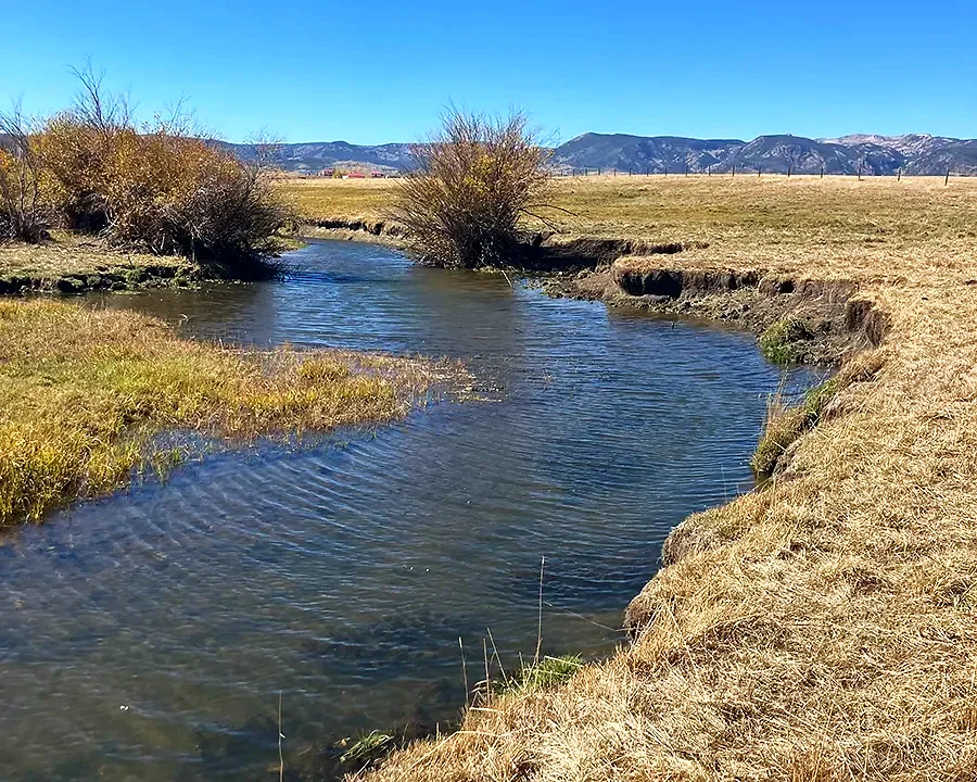 Little Grizzly Creek – Eagle's Wing Ranch