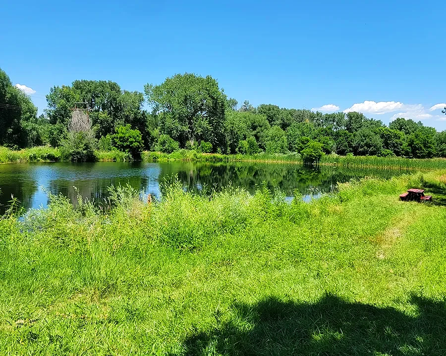Sylvan Dale Ranch – Bass Ponds