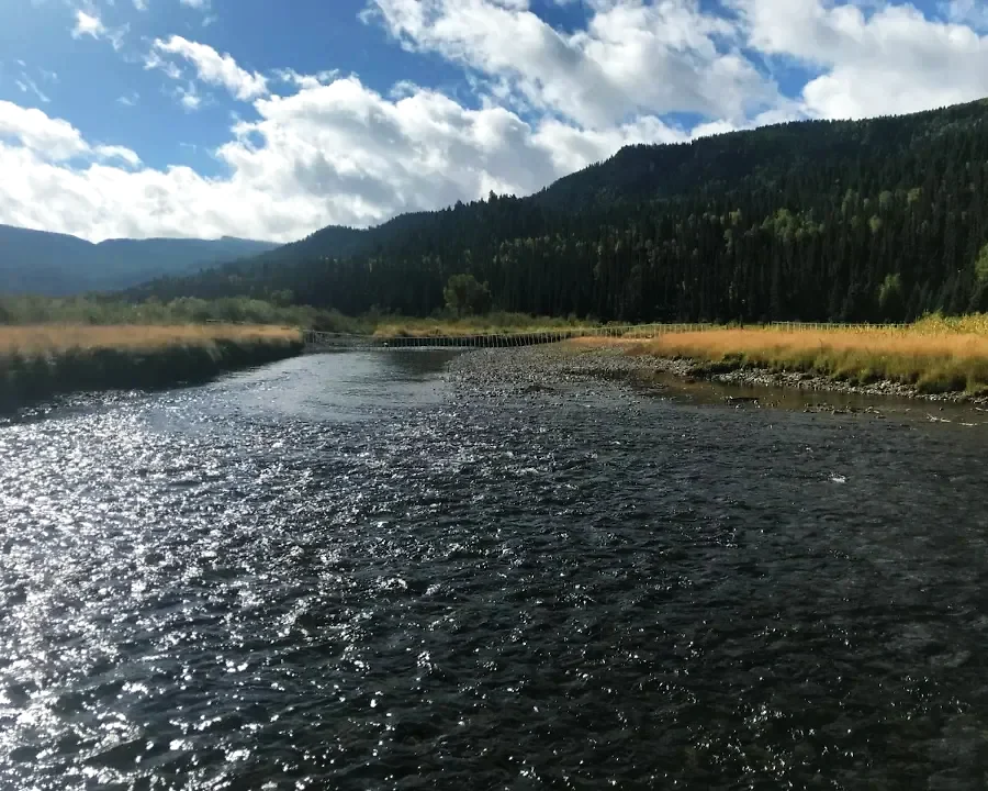 Conejos River – Upper