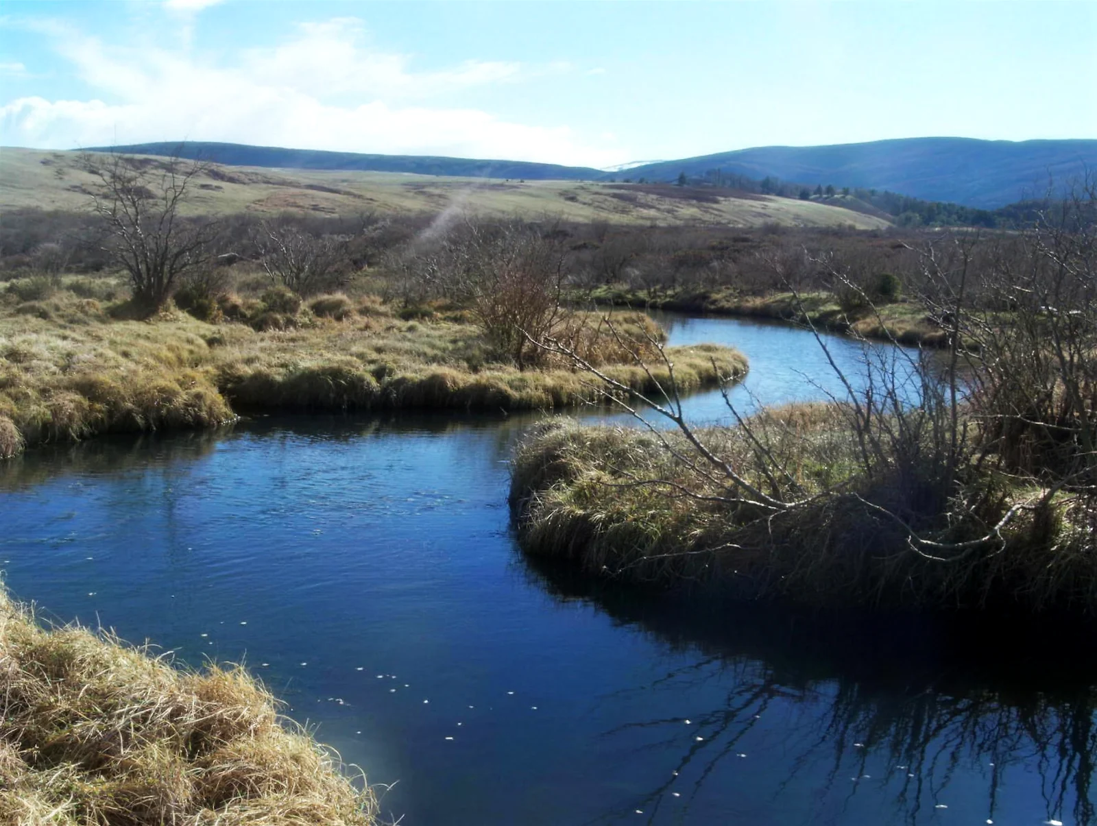 Fourmile Creek – Fairplay