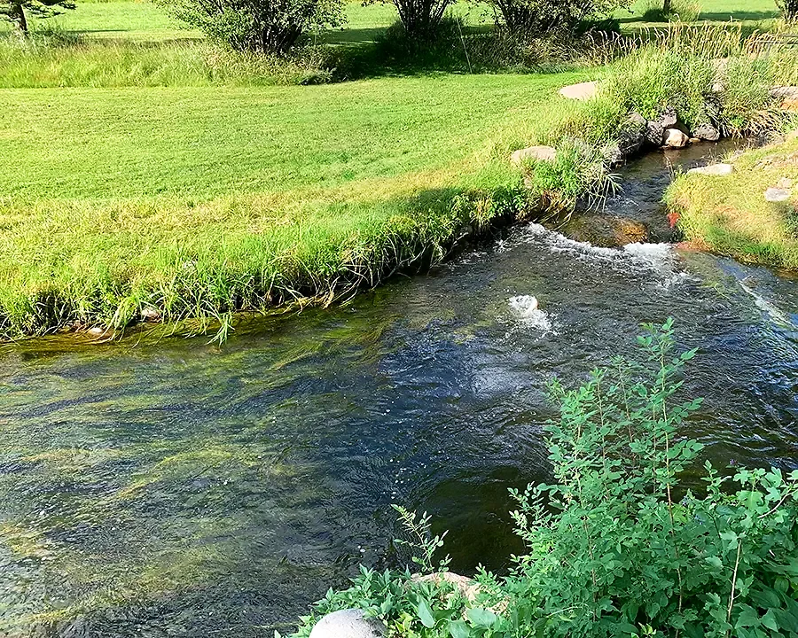 Gianinetti Spring – Carbondale