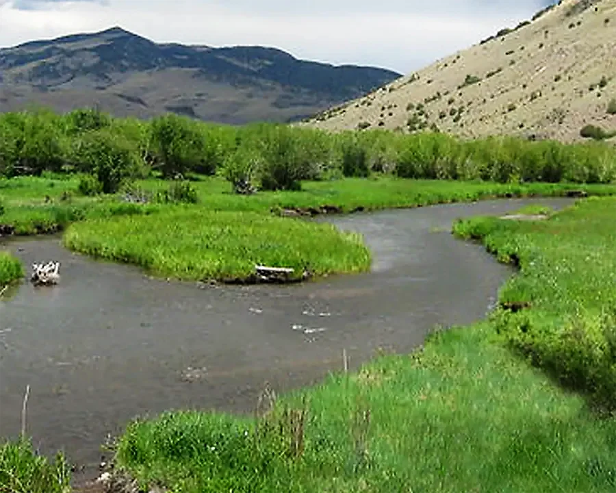 Saguache Creek Camping for Fishing