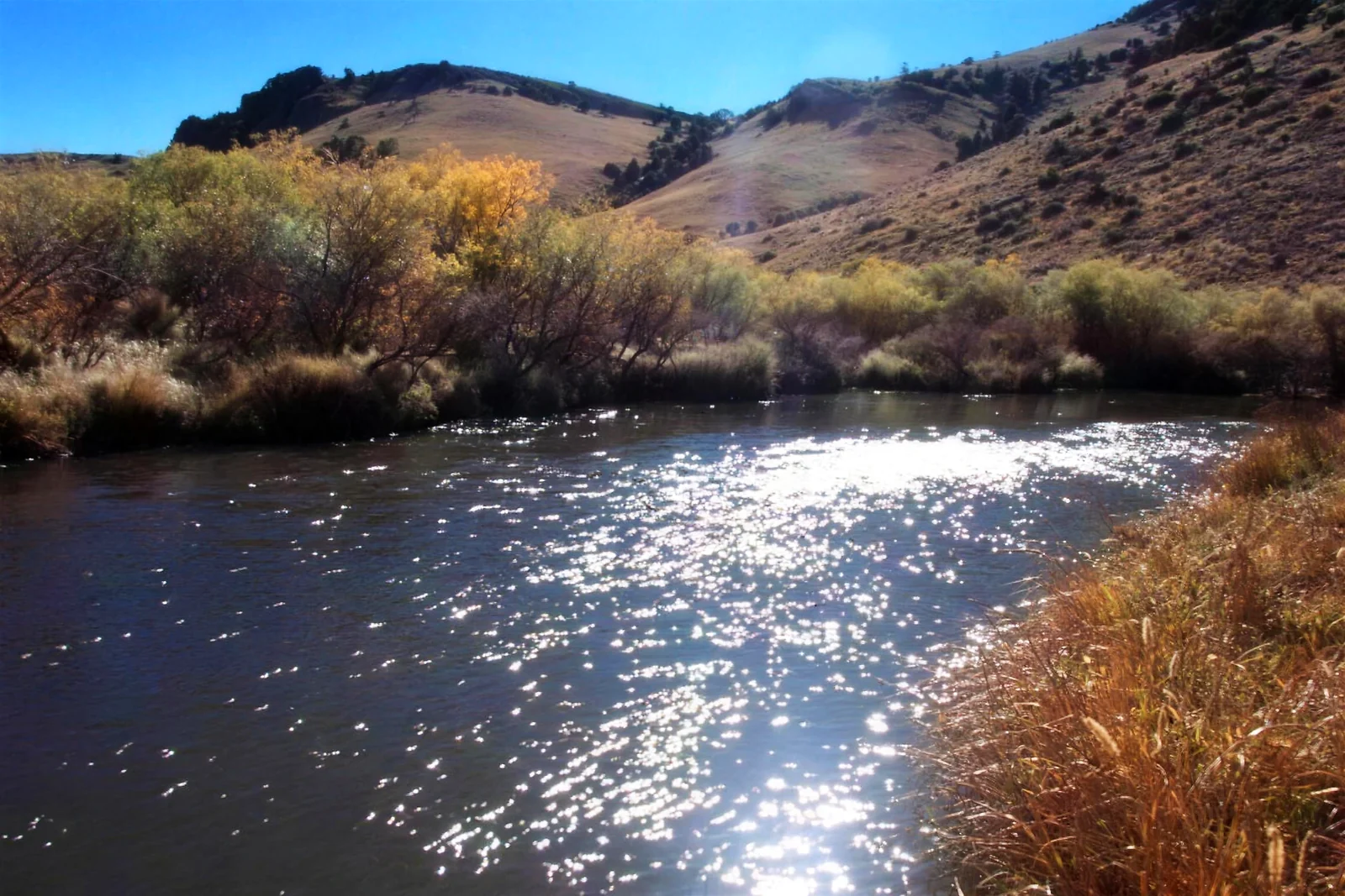 Saguache Creek – Upper